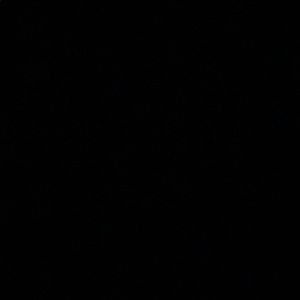 Meet your Posher, Maddy